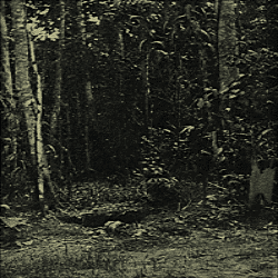press for next screen